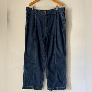Madewell Trouser Jeans Denim Sz 33 High Pleated Waist Wide Leg Full Length